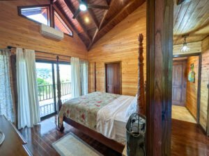 DJI_20240302_112242_435 AM